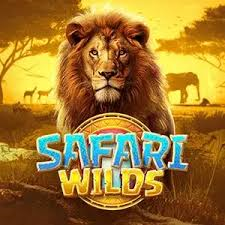 Safari Wilds