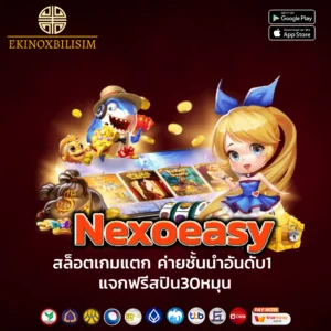 nexoeasy